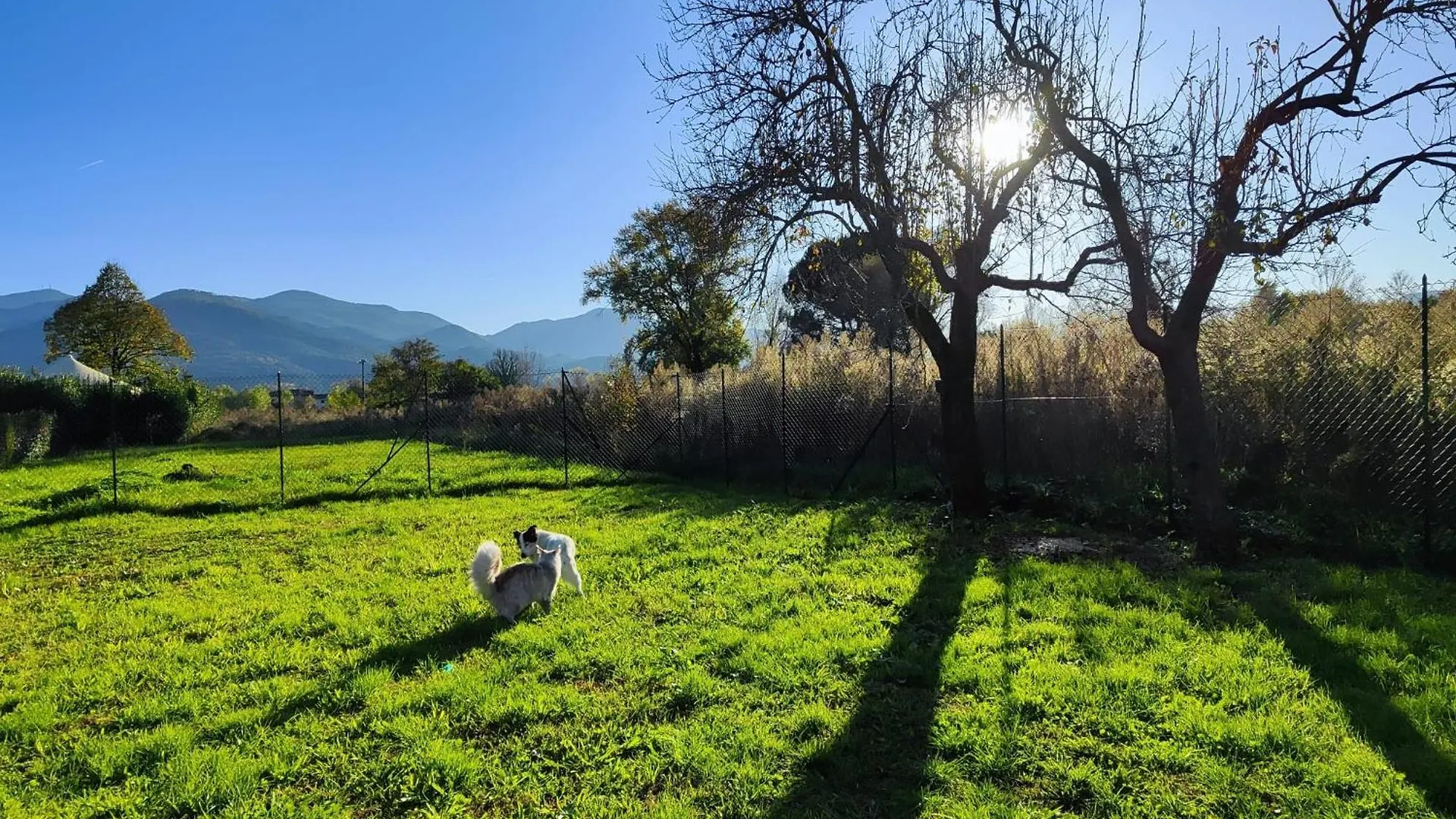 B&B Toringo Capannori 0*,  Italy